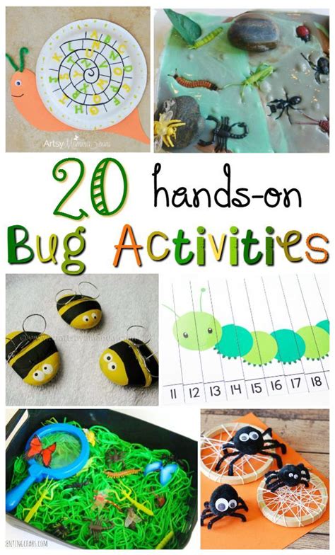 Hands-On Bug Activities for Kids - The Shirley Journey | Bug activities, Insect activities, Bugs ...