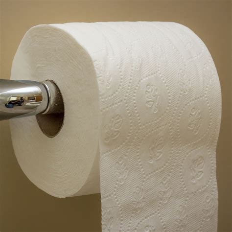 Hot Selling Ultra Soft Customized Toilet Paper - China Toilet Tissue and Toilet Paper Roll price