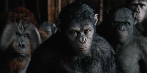 Planet Of The Apes Trilogy: 10 Best Koba Quotes