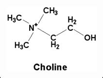 Choline - Uses, Benefits, Sources and Dosage