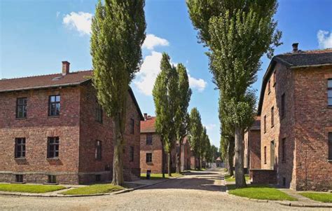 Krakow: Auschwitz Guided Tour with optional Lunch or Pickup | GetYourGuide