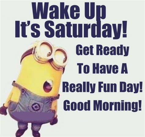 10 Cool & Fun Saturday Quotes And Sayings | Funny good morning quotes ...