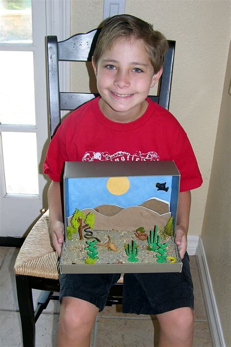Harrison with diorama of Mojave Desert | 4th grade, diorama … | Flickr