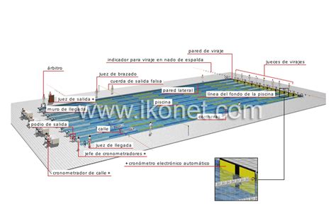 deportes y juegos > deportes acuáticos y náuticos > natación > piscina olímpica imagen ...