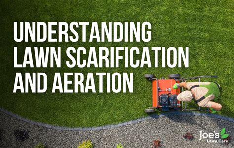 Understanding Lawn Scarification and Aeration - Joe's Lawn Care