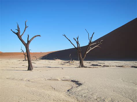 The Dunes of Sossusvlei - Infinite Safari Adventures blog | Infinite Safari Adventures blog