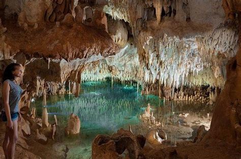 Grand Cayman: Tours and Tickets - TripAdvisor | Crystal cave, Wildlife ...