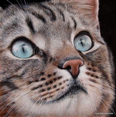 Tigger Elize Bezuidenhout Acrylics on canvas | Beautiful cats, Cat ...