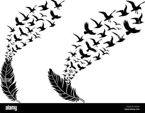 feathers with free flying birds, vector illustration for a wall Stock ...