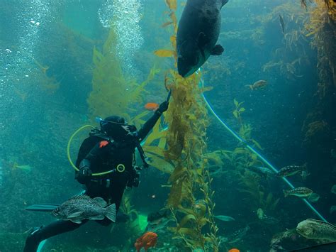 As the public... - Scripps Institution of Oceanography