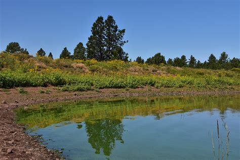 Kaibab Lake & Campground 2017 | Kaibab Lake on the Williams … | Flickr