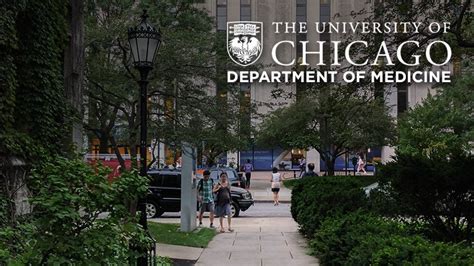 university of chicago medical school requirements – CollegeLearners.com