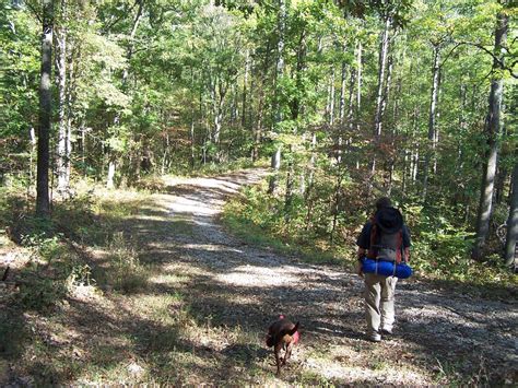 Hoosier hiking Hoosier national forest - HOOSIER HIKING .COM