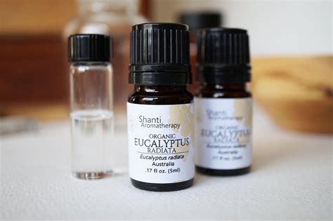 Organic Eucalyptus radiata Essential Oil — Shanti Aromatherapy