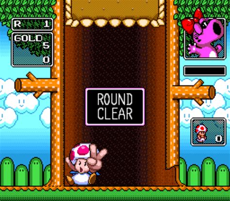 Wario's Woods