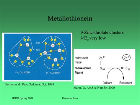 PPT - Isolation and Characterization of the Metallothionein Promoter in Artemia PowerPoint ...