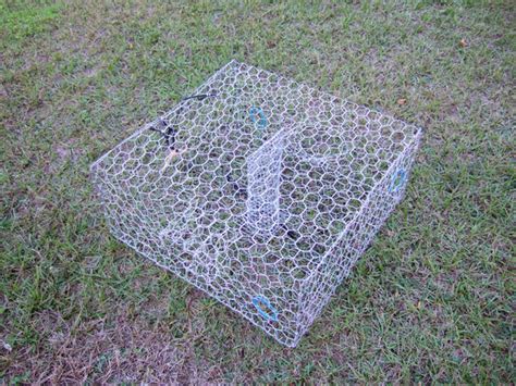 Blue Crab Trap - Galvanized or Vinyl Coated Wire Trap – Lee Fisher Fishing Supply