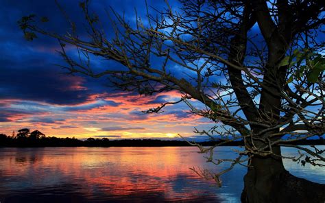 sunset, Trees, Lake Wallpapers HD / Desktop and Mobile Backgrounds