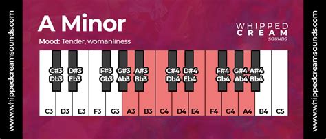 A Minor Scale, Chords in The Key of A Minor - Whipped Cream Sounds