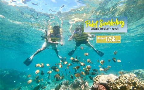 Paket Snorkeling Murah di Nusa Penida - Paket Tour Nusa Penida