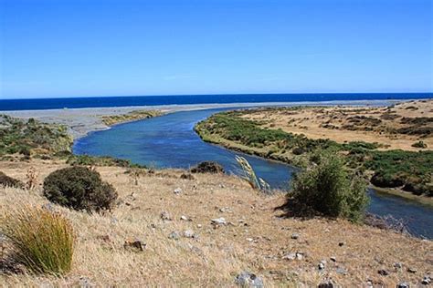 Wainuiomata River Mouth New Zealand photo