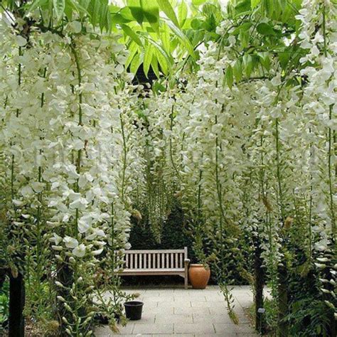 Peaceful Garden | Beautiful gardens, White gardens, Dream garden