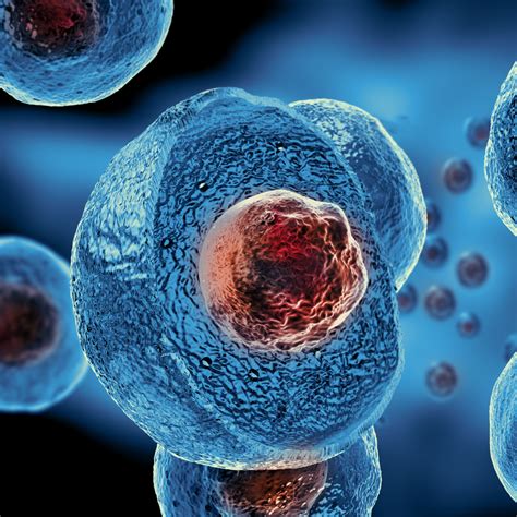 Regenerative Stem Cell Therapy In Phoenix, Arizona | Innate Healthcare Institute
