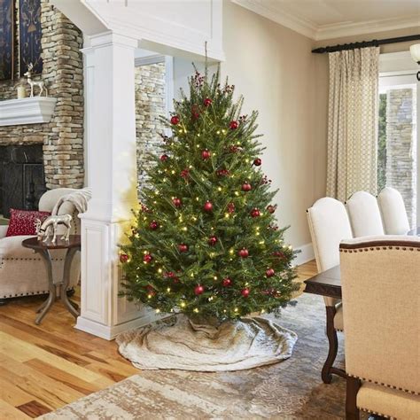 6-7-ft Balsam Fir Real Christmas Tree in the Fresh Christmas Trees ...