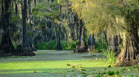 Things to do in Natchez :: Top Attractions, Restaurants & More