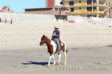 Activities to Enjoy in Rocky Point - Puerto Peñasco, Mexico - Explore Sonora