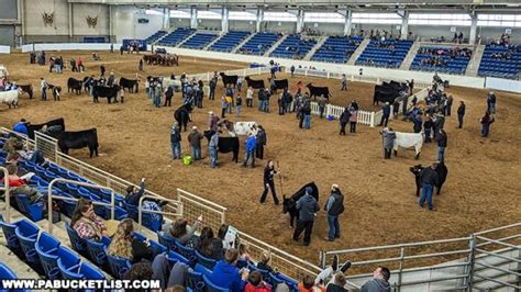 Exploring the Pennsylvania Farm Show in Harrisburg