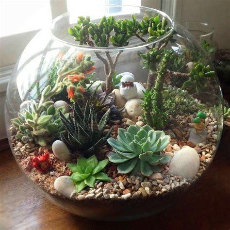 15 of the Best Succulent Terrarium Ideas - Organize With Sandy