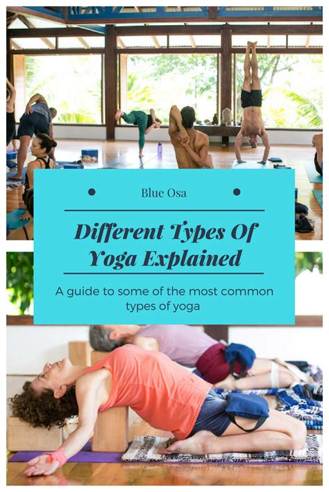 Different Types Of Yoga Explained - Blue Osa Yoga Retreat + Spa