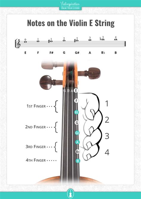 Beginner Violin String Notes