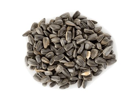 Sunflower Seeds PNG Transparent Images - PNG All
