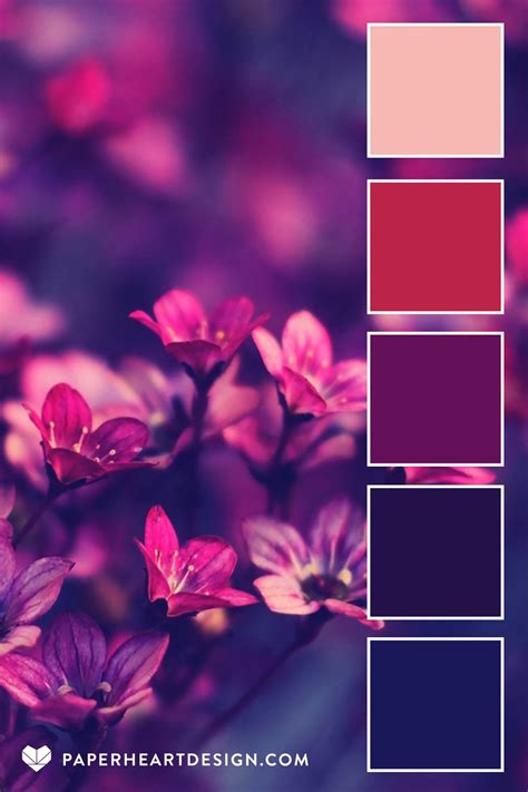 Color palette viva magenta pantone 2023 color of the year – Artofit
