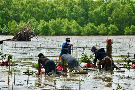 Indonesia steps up fight against climate change - Indonesia - The ...