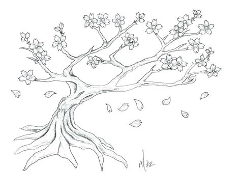 Cherry Blossom Drawing Step By Step