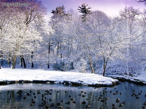 Canadian Winter Sceneries Wallpapers - WallpaperSafari