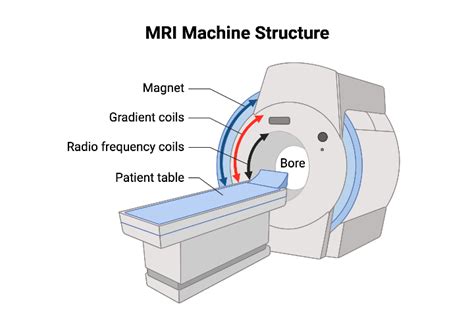 MRI Machine Structure | BioRender Science Templates