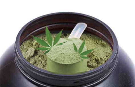 Hemp Protein Powder • Bodybuilding Wizard