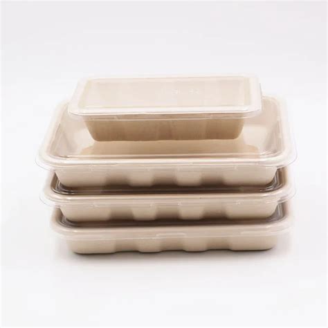 Biodegradable Bagasse Pulp Moulded Food Container Packaging - Buy Pulp ...