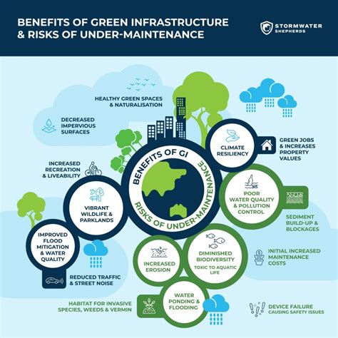 Green Infrastructure: Naturalised Solutions to Stormwater Treatment - Stormwater Shepherds