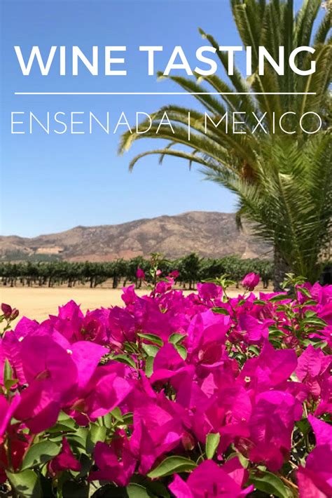 How To Go Wine Tasting in Ensenada | Wine tasting, Mexico travel, Baja ...