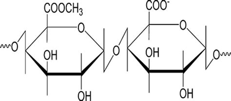 Pectin Structure