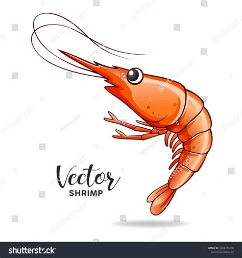 Shrimp Cartoon Images: Browse 29,987 Stock Photos & Vectors Free Download with Trial | Shutterstock