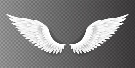 Pair Of Beautiful White Angel Wings Isolated On Transparent Background ...