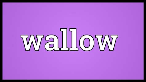 Wallow Meaning - YouTube