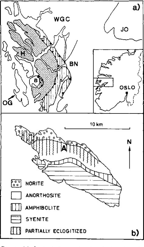 Figure 1 from Reaction-enhanced formation of eclogite-facies shear ...