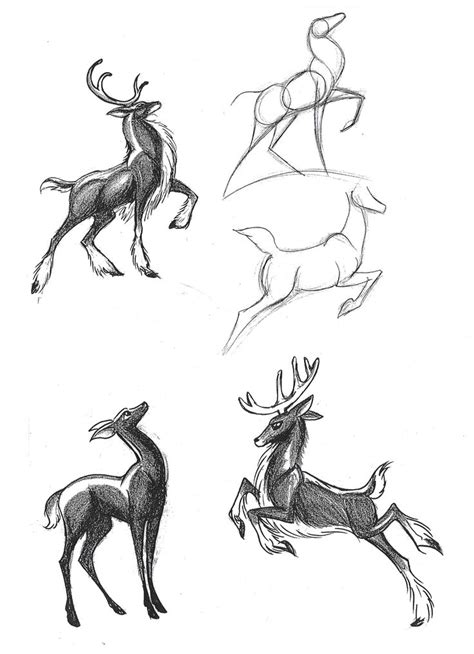 Deer. Leaping, pose | Animal drawings, Line art drawings, Deer drawing